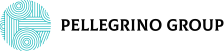 Pellegrino Group - IT Solutions for Your Business